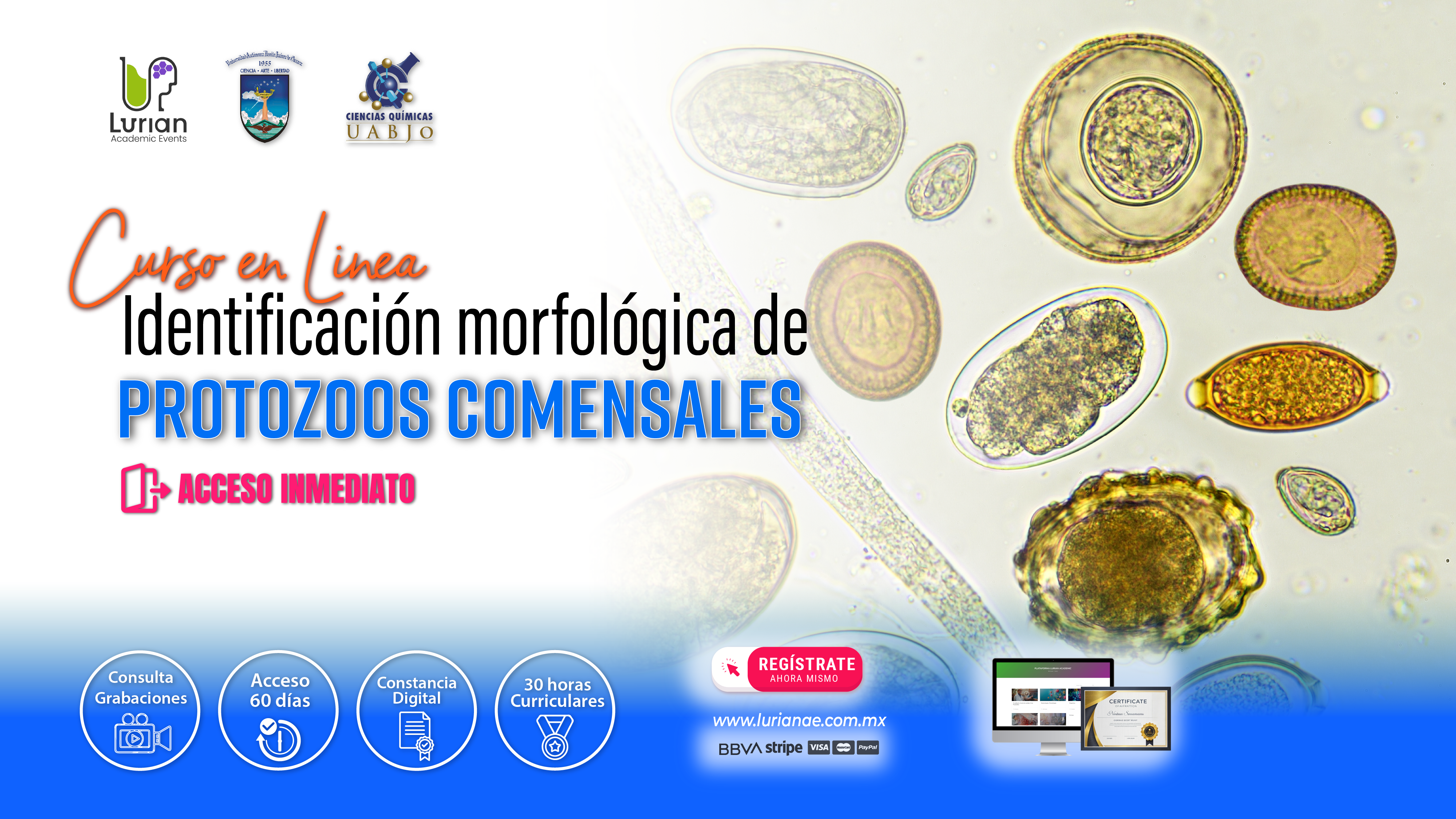 Curso en Línea Identificación morfológica de protozoos comensales 2025