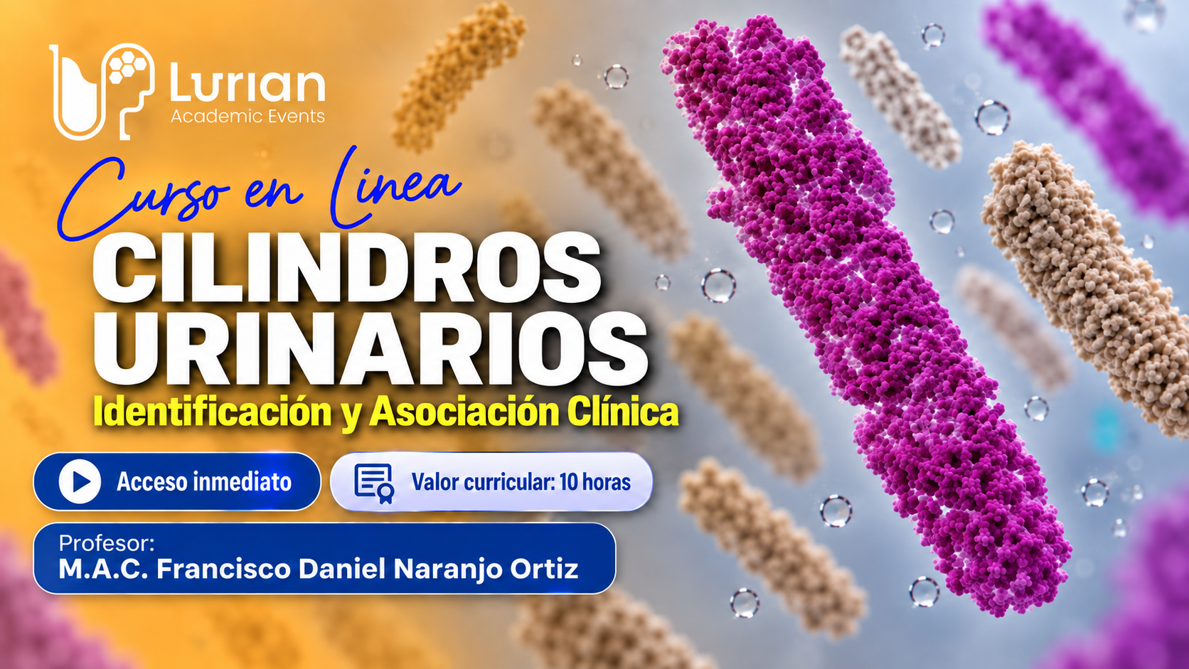 Curso en Línea CILINDROS URINARIOS Identificación y Asociacion Clínica