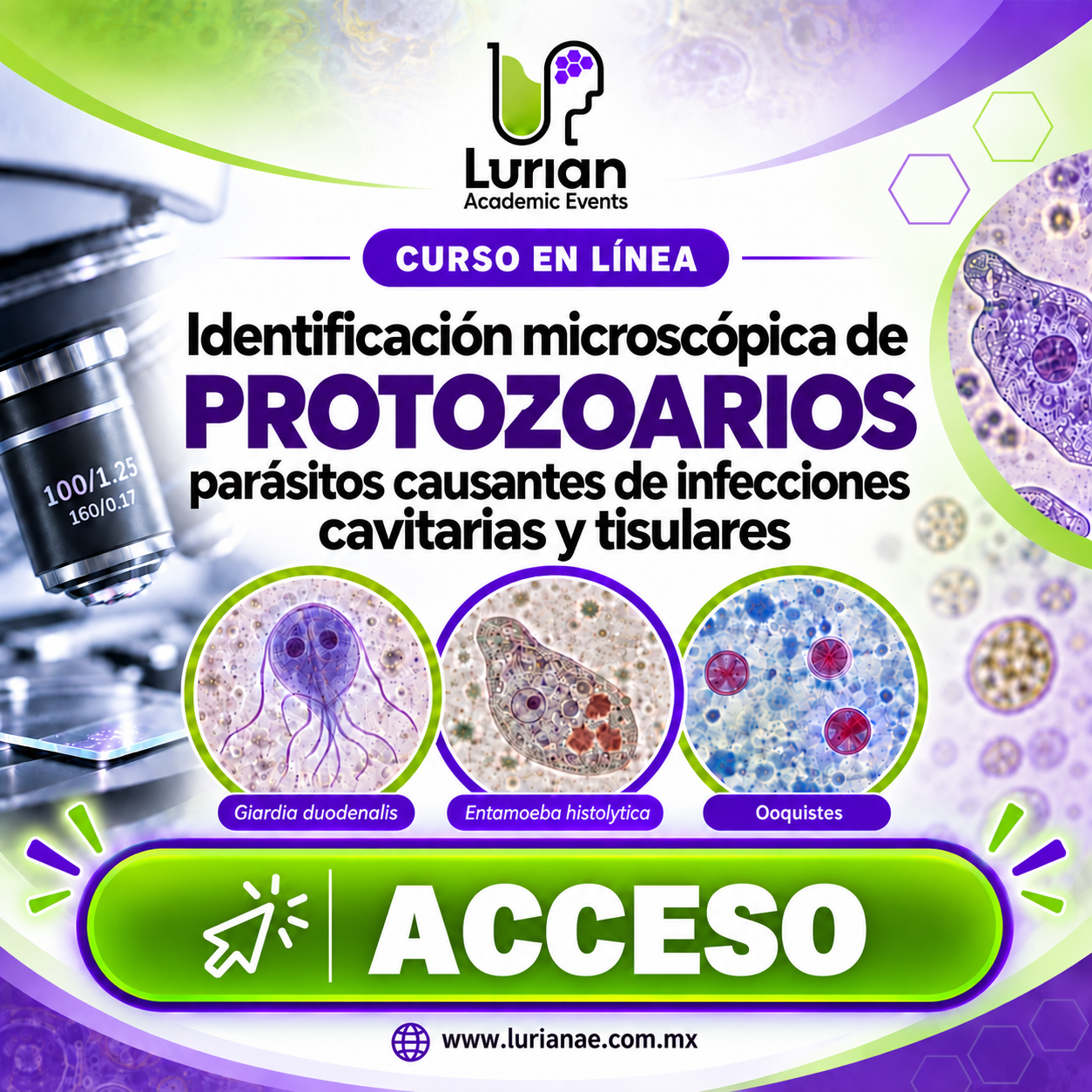 Curso en Línea Identificación Microscópica de Protozoarios parásitos causantes de infecciones cavitarias y tisulares
