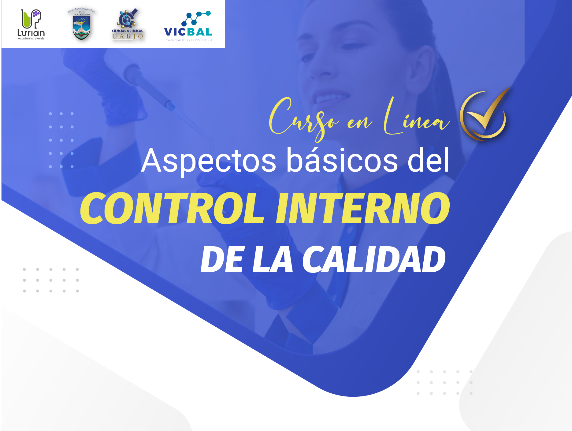 Curso en Línea Aspectos Básicos del Control Interno de la Calidad 2024