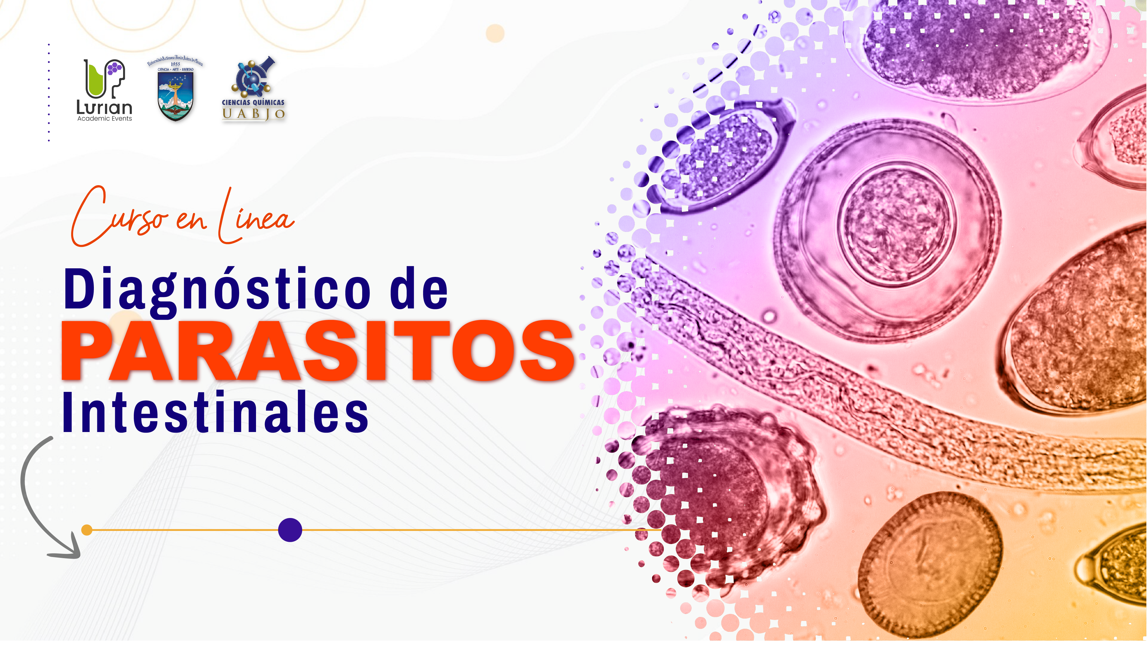 Curso en Línea Diagnóstico de Parasitos Intestinales 2025